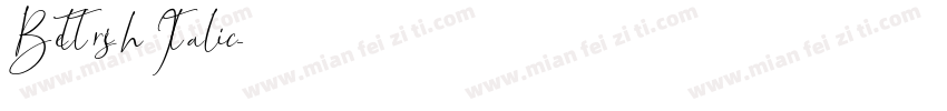Bettrish Italic字体转换